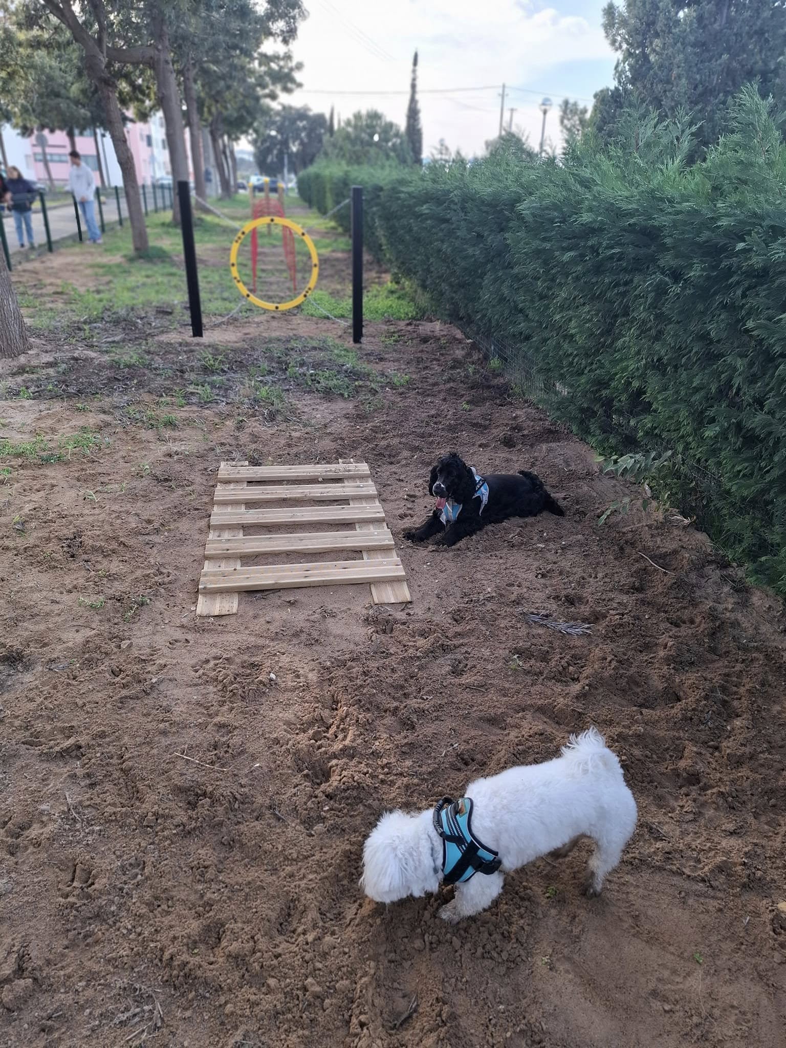 Inauguração do segundo Parque Canino